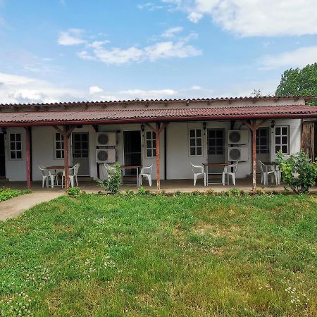 Casa Ioana Otel Costinești Dış mekan fotoğraf